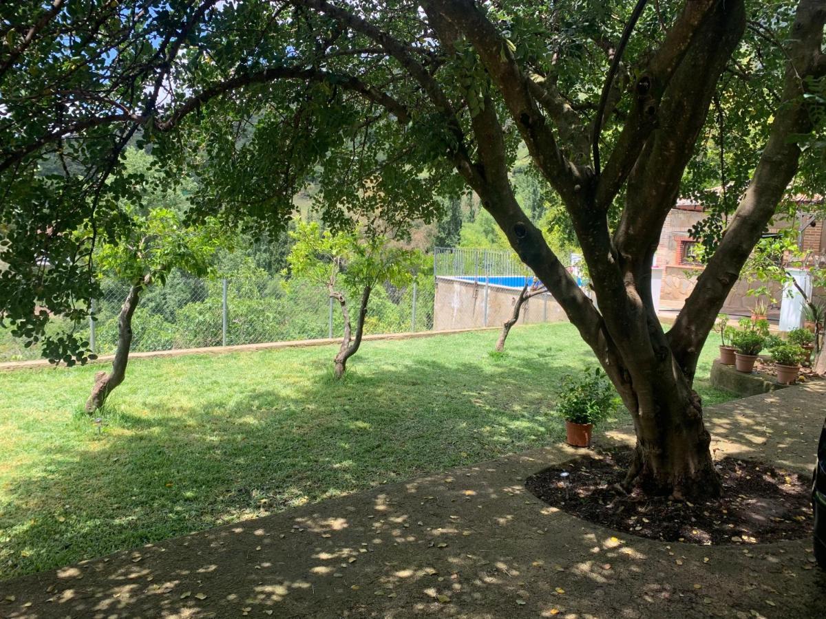La Fuente De El Nacimiento Casa de hóspedes Benamahoma Exterior foto