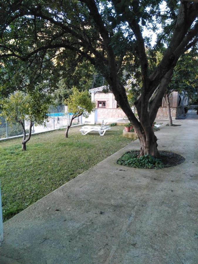 La Fuente De El Nacimiento Casa de hóspedes Benamahoma Exterior foto