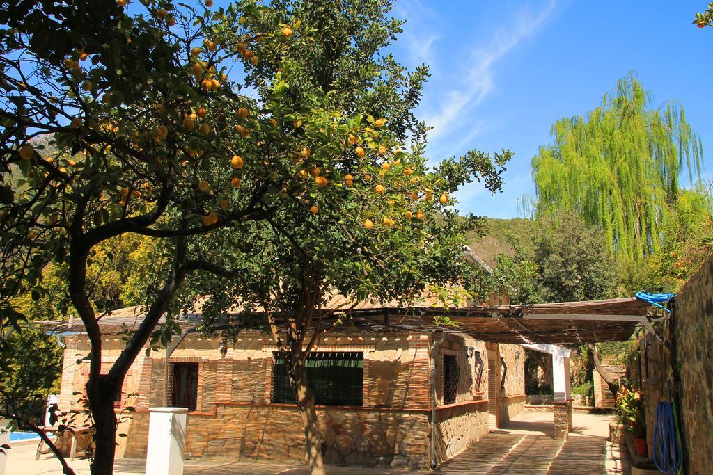 La Fuente De El Nacimiento Casa de hóspedes Benamahoma Exterior foto